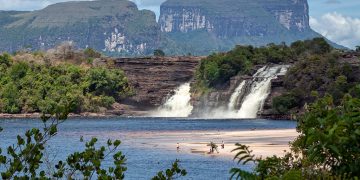 Día Mundial de la Ecología