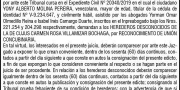 CARTEL CARMEN ROSA VILLAMIZAR