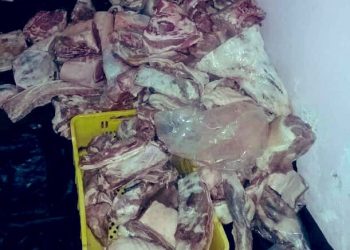 Perniles descompuestos llegaron anoche a La Grita