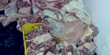 Perniles descompuestos llegaron anoche a La Grita