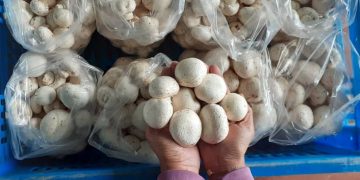 Realizan jornada médico asistencial en La Defensa parroquia Ayacucho de Boconó