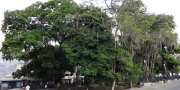 Desadaptados dañaron alumbrado de la plaza Bolívar