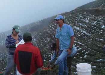 Joaquín Aguilar: el campo venezolano hoy sufre la peor crisis de la historia