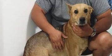 Crónicas de año nuevo |  La leyenda del Coyote «Así como llegó así se fue»