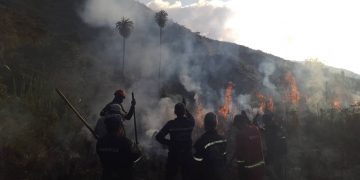 Bomberos Boconó atienden incendio de vegetación en el Parque Nacional Cruz Carrillo de Guaramacal