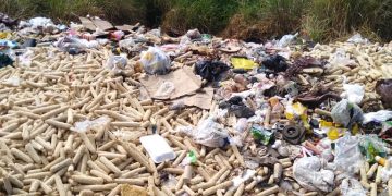 Sabana Libre clama por la recolección de basura