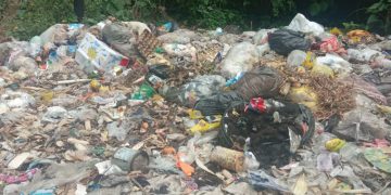 Habitantes de Monte Carmelo no recuerdan cuándo fue la última vez que tuvieron servicio de aseo urbano