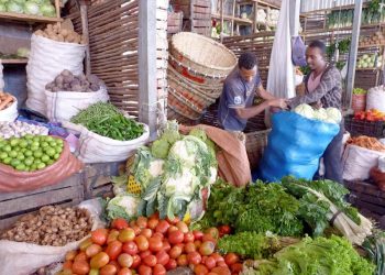 Entra en funcionamiento en África la mayor zona de libre comercio del mundo