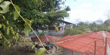 En completo abandono Parque Esteban Valera de Isnotú