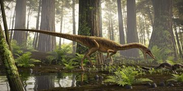 Descubren en Brasil uno de los antepasados más antiguos del Tyrannosaurus Rex