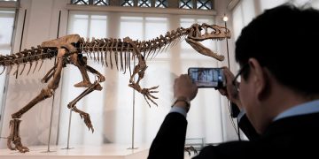 Nueva teoría explica de dónde vino el meteorito que acabó con los dinosaurios