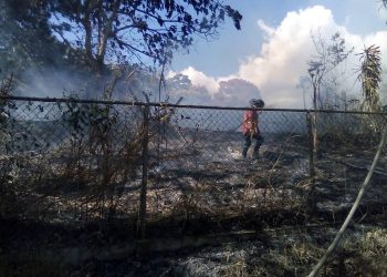 Bomberos de Boconó extinguen incendio de vegetación que afectó dos vehículos