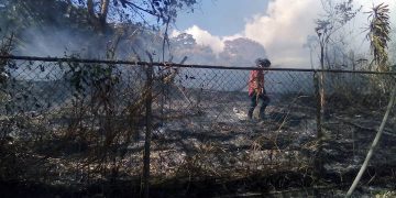 Bomberos de Boconó extinguen incendio de vegetación que afectó dos vehículos
