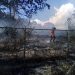 Bomberos de Boconó extinguen incendio de vegetación que afectó dos vehículos