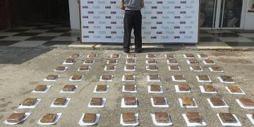 GNB aprehende en Agua Viva a ciudadano con presunta droga