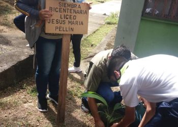 Programa Bosque Bicentenario se despliega en escuelas tachirenses