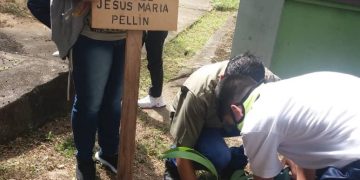 Programa Bosque Bicentenario se despliega en escuelas tachirenses