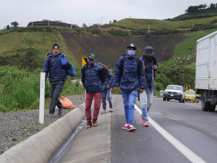 Fotografía de archivo fechada el 26 de enero de 2021 que muestra a un grupo de migrantes venezolanos mientras caminan por una carretera, en la región de Tulcán (Ecuador). EFE