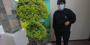 Maduro mandó médicos cubanos y venezolanos a Morales para tratarle la covid