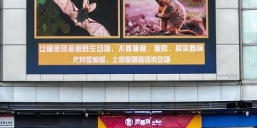 ¿Qué sabemos del origen del SARS-CoV-2?