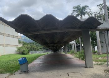 Educación Superior en Venezuela, una muerte lenta que puede evitarse (I Parte)