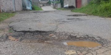 Flor de Patria se hunde en el hueco de la desidia