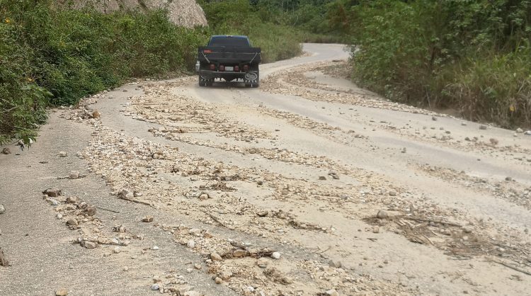 A la carretera Betijoque al eje Panamericano le hace falta mantenimiento general.
