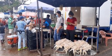 Pescaderías se estimulan con movimiento de pesos y dólares en esta Semana Santa