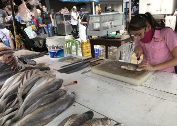Vendedores de pescado gastan hasta 4.000 dólares para trasladarlo al Táchira