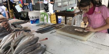 Vendedores de pescado gastan hasta 4.000 dólares para trasladarlo al Táchira