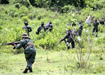 FANB combate presuntos irregulares en Apure