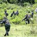 FANB combate presuntos irregulares en Apure