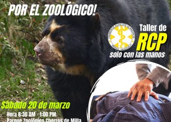 ¡OTRA VEZ! Roban oficina de la ULA