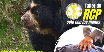 ¡OTRA VEZ! Roban oficina de la ULA