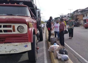 En Mérida la alcaldía pide denunciar a los cochinos