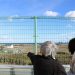 Fukushima 10 años después: los efectos en la salud no son demostrables, según la ONU