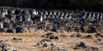 Los pueblos de Fukushima donde el tiempo se paró hace una década