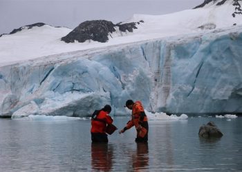Argentina y la investigación de la Antártida, 70 años de trabajo científico