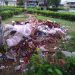 En Sabana de Mendoza también abunda la basura