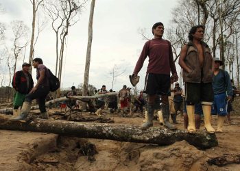 La deforestación de la Amazonía, una epidemia ambiental en silencioso auge