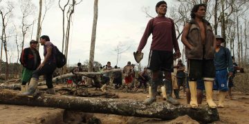 La deforestación de la Amazonía, una epidemia ambiental en silencioso auge