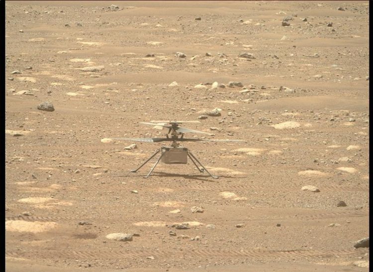Fotografía facilitada por la NASA que muestra al helicóptero Ingenuity con sus hélices desbloqueadas del rover Perseverance Mars de la NASA, mientras utiliza su cámara Right Mastcam-Z. EFE/NASA/JPL-Caltech/ASU