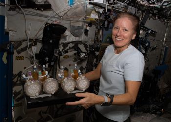 La primera misión conjunta de la NASA y SpaceX a EEI volverá a la Tierra el sábado