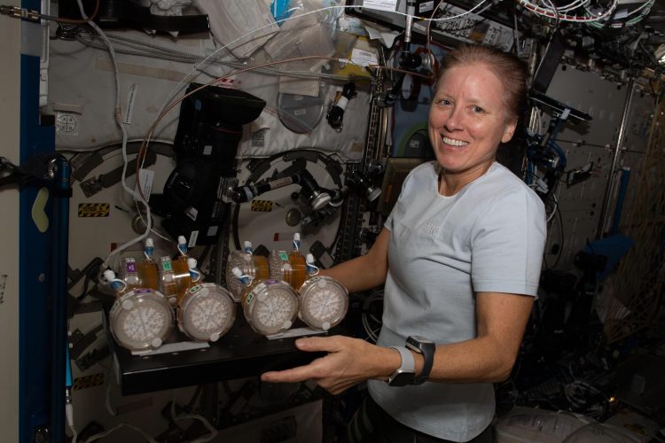 Fotografía cedida por la NASA donde aparece la astronauta estadounidense Shannon Walker, de la tripulación de la llamada SpaceX Crew-1 mientras trabaja en la Estación Espacial Internacional. EFE/ NASA