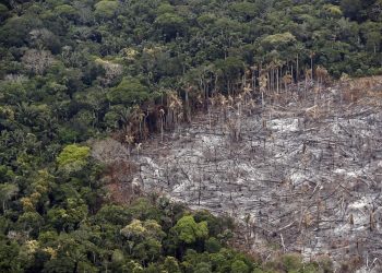 CE reitera voluntad de abordar deforestación de Amazonas en pacto UE-Mercosur