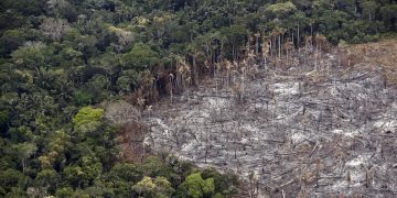 CE reitera voluntad de abordar deforestación de Amazonas en pacto UE-Mercosur