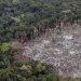 CE reitera voluntad de abordar deforestación de Amazonas en pacto UE-Mercosur