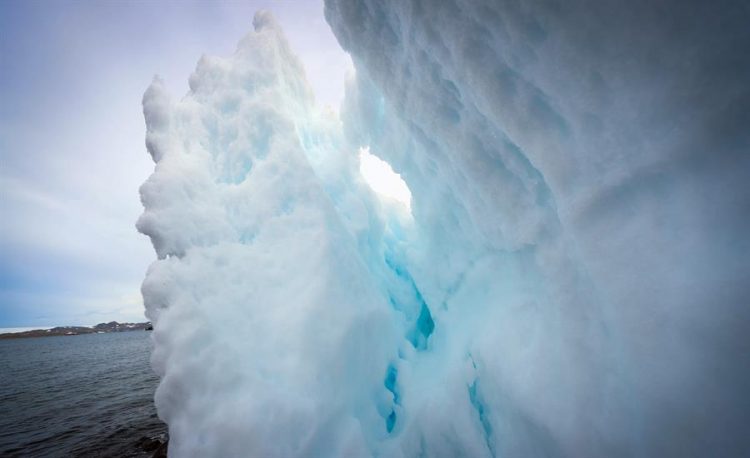 No todos los glaciares contribuyen por igual a este fenómeno. Actualmente, el manto de hielo de Groenlandia pierde masa más rápido que el de la Antártida (casi el doble), pese a que el manto de hielo Antártico almacena un volumen de hielo diez veces superior al groenlandés.EFE/ Federico Anfitti/Archivo