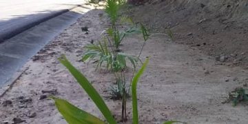 Cementerio en construcción no es clandestino y sigue operativo 