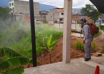 Salud Ambiental mantiene la vigilancia de Chagas en 4 municipios del Táchira